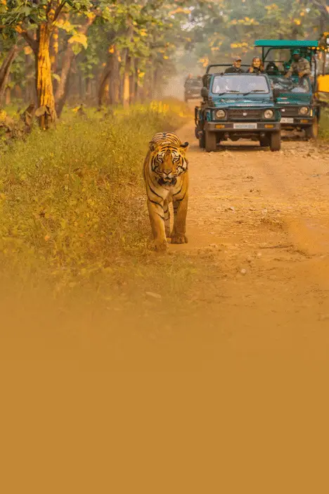 Free HTML5 Website Template by FreeHTML5.co